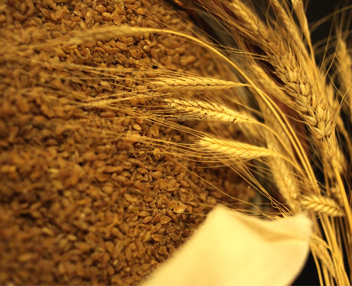 SİYEZ - ŞİFA KÖŞESİ