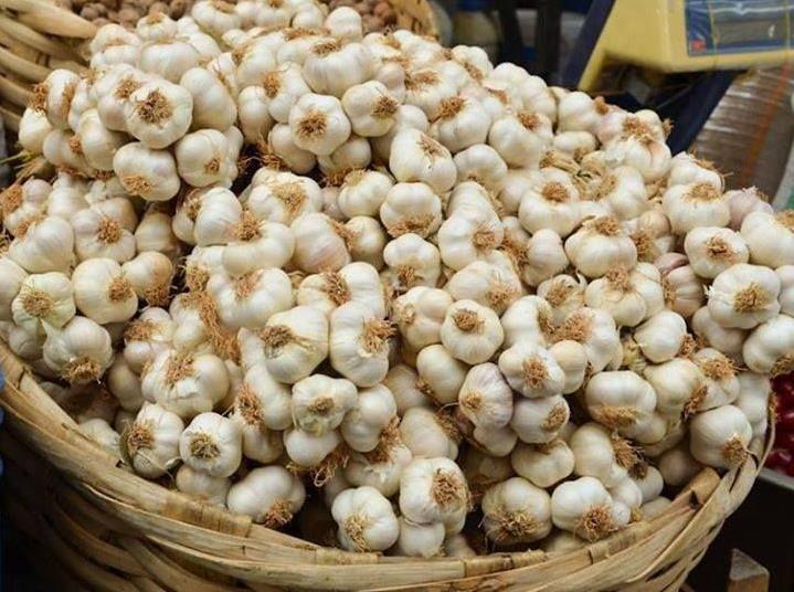 TAŞKÖPRÜ - ŞİFA KÖŞESİ